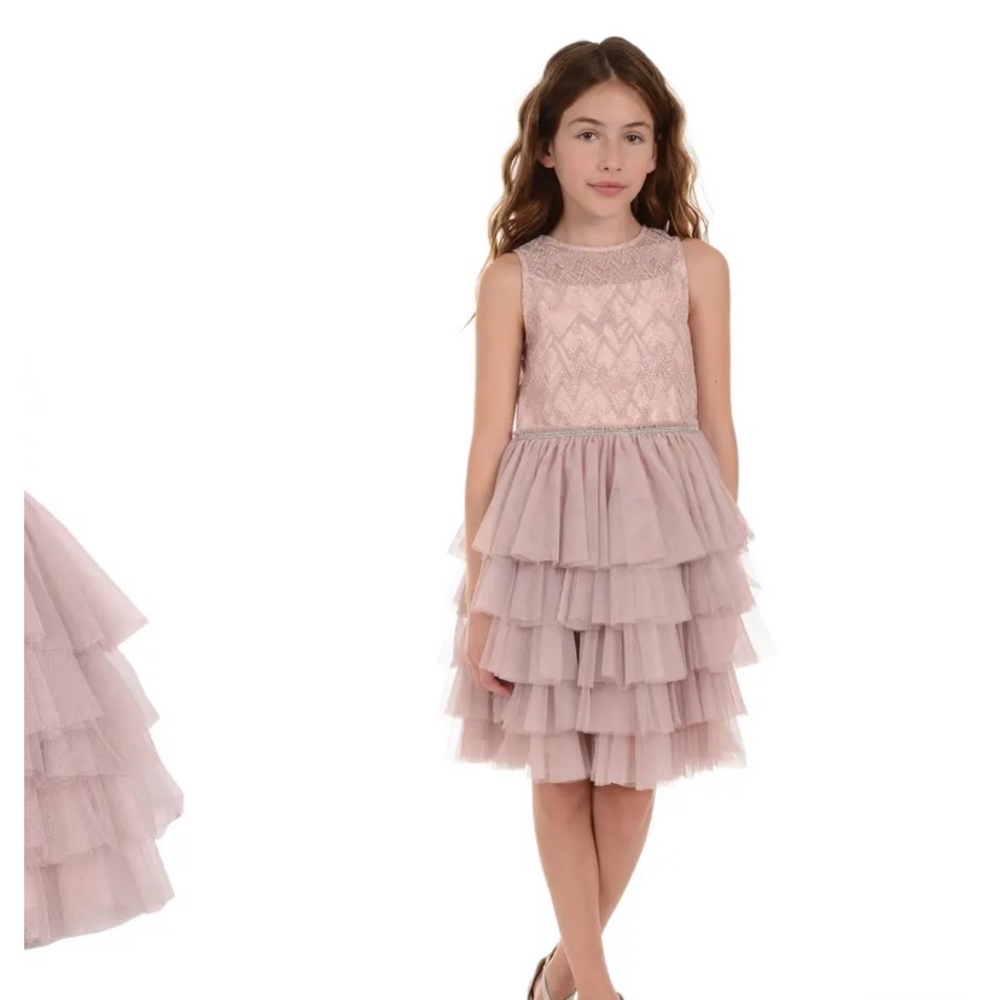 NWT Badgley Mischka flower girl dress